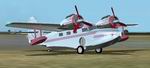 FS2004/20002
                  Grumman Goose Chrome Textures.